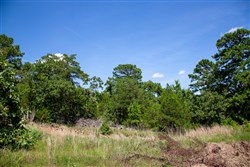 Tyler Stone Ranch Tract 38