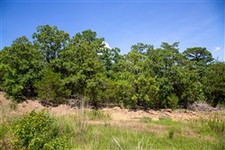 Tyler Stone Ranch Tract 38