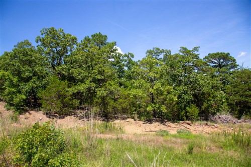 Tyler Stone Ranch Tract 38