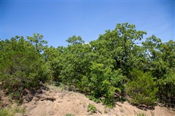 Tyler Stone Ranch Tract 38