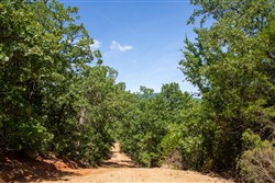 Tyler Stone Ranch Tract 38