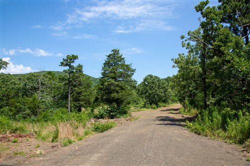 Tyler Stone Ranch Tract 40