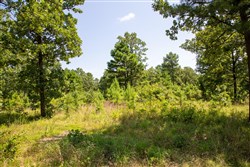 Tyler Stone Ranch Tract 40