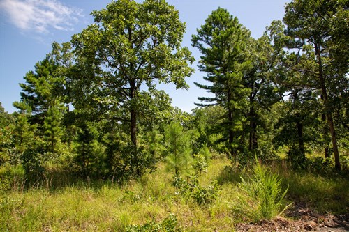 Tyler Stone Ranch Tract 40
