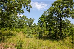 Tyler Stone Ranch Tract 40