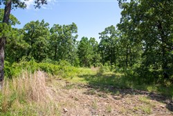 Tyler Stone Ranch Tract 40