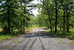 Tyler Stone Ranch Tract 41