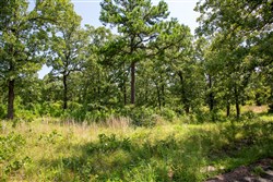 Tyler Stone Ranch Tract 41