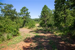 Tyler Stone Ranch Tract 43