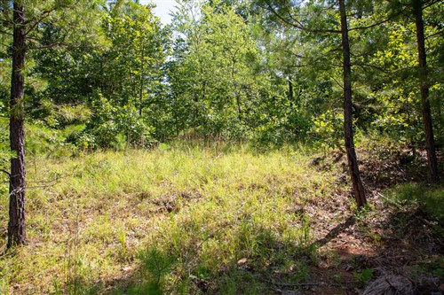 Tyler Stone Ranch Tract 43