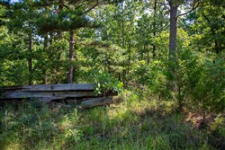 Tyler Stone Ranch Tract 43