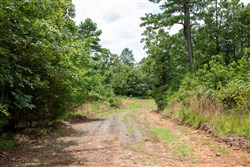 Tyler Stone Ranch Tract 44