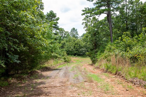 Tyler Stone Ranch Tract 44