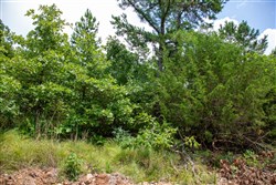 Tyler Stone Ranch Tract 44