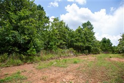 Tyler Stone Ranch Tract 44