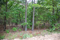 Tyler Stone Ranch Tract 45