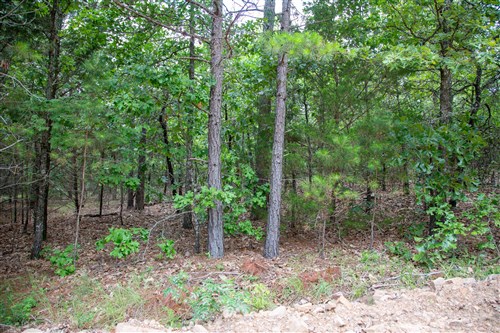 Tyler Stone Ranch Tract 45