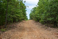 Tyler Stone Ranch Tract 45