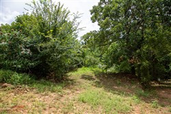 Tyler Stone Ranch Tract 45