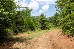 Tyler Stone Ranch Tract 45