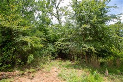 Tyler Stone Ranch Tract 45