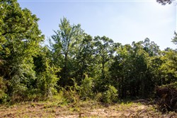 Tyler Stone Ranch Tract 48