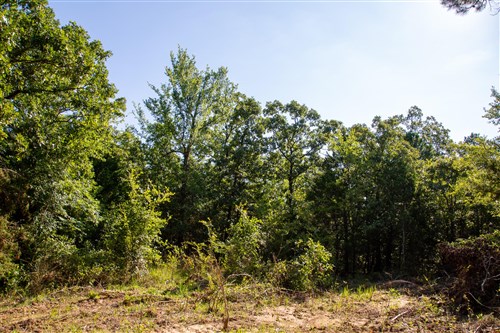 Tyler Stone Ranch Tract 48