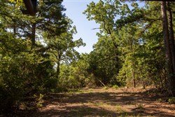Tyler Stone Ranch Tract 48