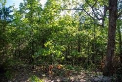 Tyler Stone Ranch Tract 48