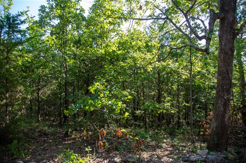 Tyler Stone Ranch Tract 48