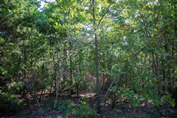 Tyler Stone Ranch Tract 48