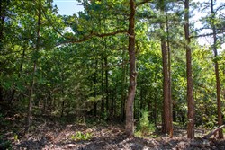 Tyler Stone Ranch Tract 48