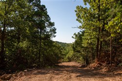 Tyler Stone Ranch Tract 48