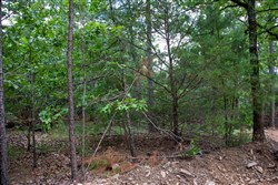Tyler Stone Ranch Tract 50