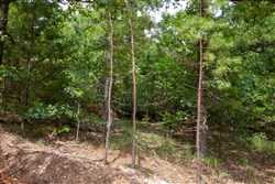 Tyler Stone Ranch Tract 50