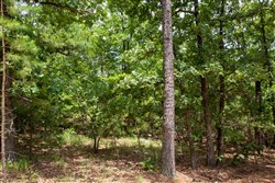 Tyler Stone Ranch Tract 50