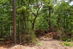 Tyler Stone Ranch Tract 50