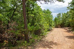 Tyler Stone Ranch Tract 50