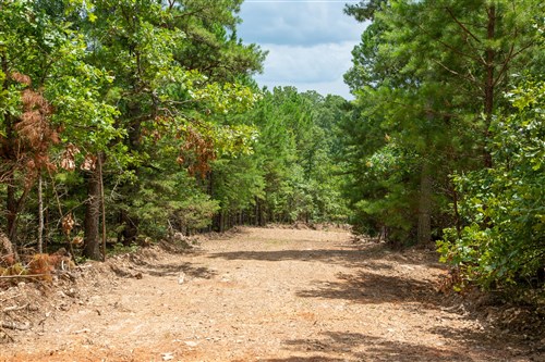 Tyler Stone Ranch Tract 51