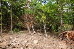 Tyler Stone Ranch Tract 51