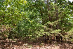 Tyler Stone Ranch Tract 51