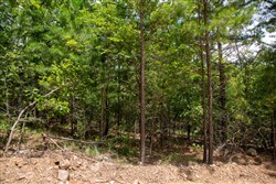 Tyler Stone Ranch Tract 51