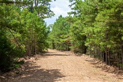 Tyler Stone Ranch Tract 51