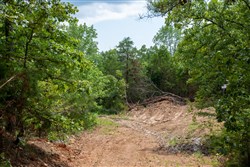 Tyler Stone Ranch Tract 52