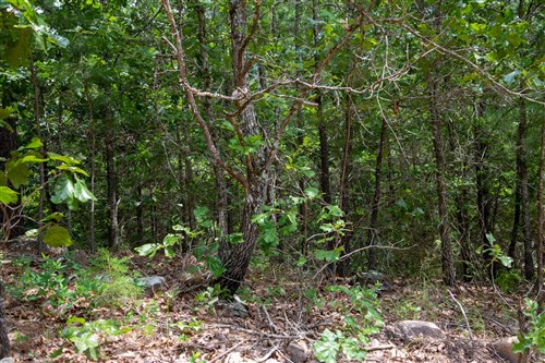 Tyler Stone Ranch Tract 52