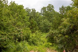 Tyler Stone Ranch Tract 52