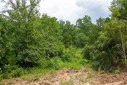 Tyler Stone Ranch Tract 52