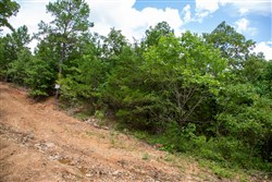 Tyler Stone Ranch Tract 52