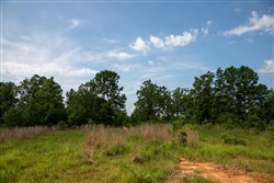 property photo for Tyler Stone Ranch Tract 55, 5.61 acres for sale in Leflore County, Oklahoma