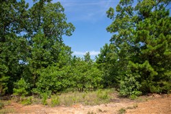 property photo for Tyler Stone Ranch Tract 55, 5.61 acres for sale in Leflore County, Oklahoma
